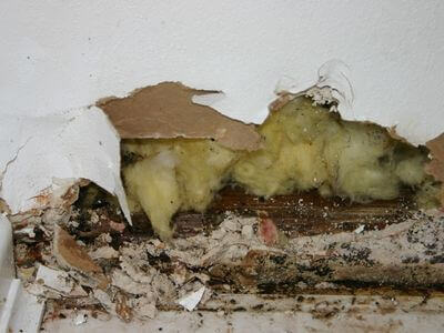 Professional 24 hour water damage restoration services in Vidal